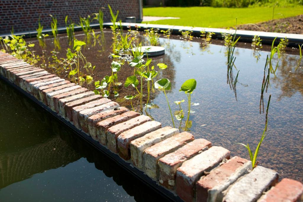 B&B De Deugdzonde Sint-Denijs Extérieur photo