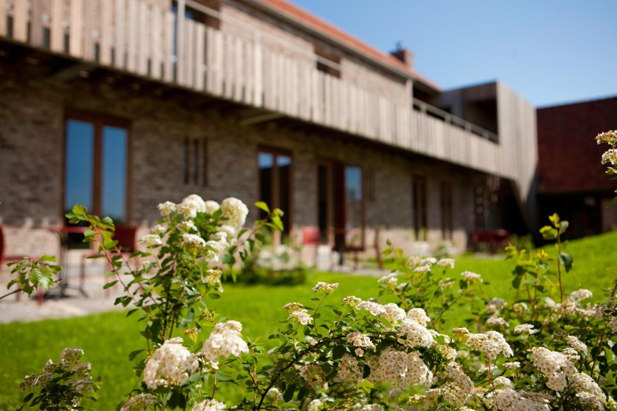 B&B De Deugdzonde Sint-Denijs Extérieur photo