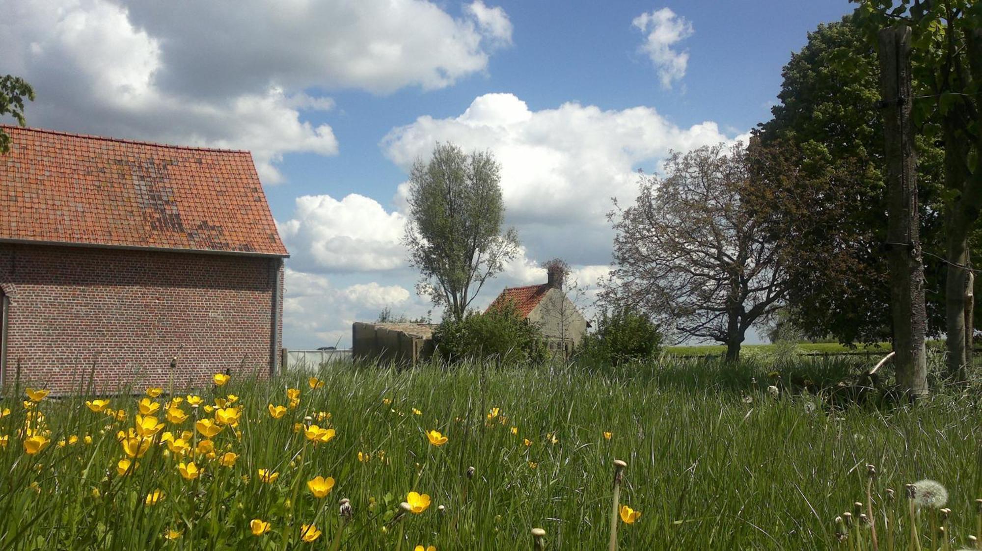 B&B De Deugdzonde Sint-Denijs Extérieur photo
